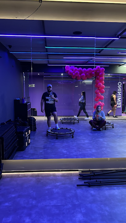 Allp Fit Academia