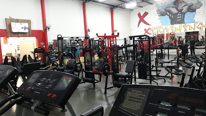 Academia Xtraining