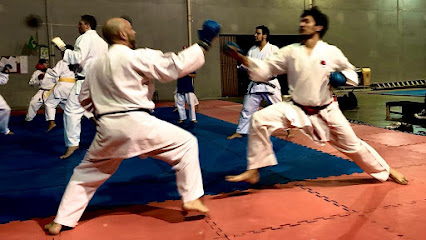 Dojô Fênix Shotokan - Karatê