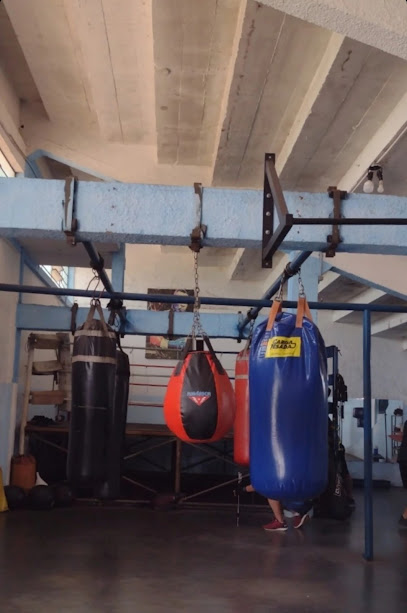 Academia de Boxe VGD