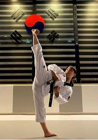 Vidotti Tkd Team
