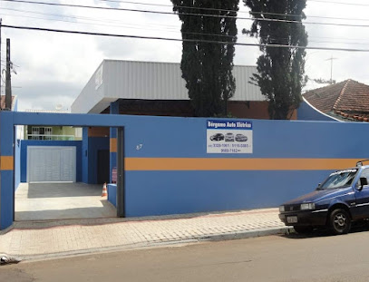 Auto Elétrica Bergamo