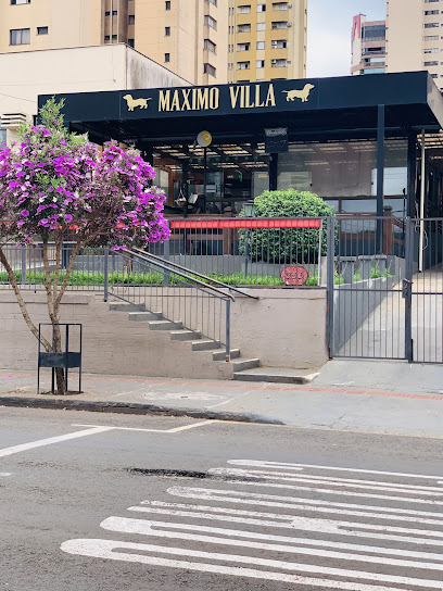 Maximo Villa