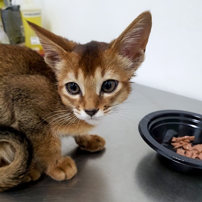 CliniCão - Clínica Veterinária