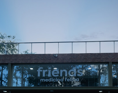 Friends - Medicina Felina